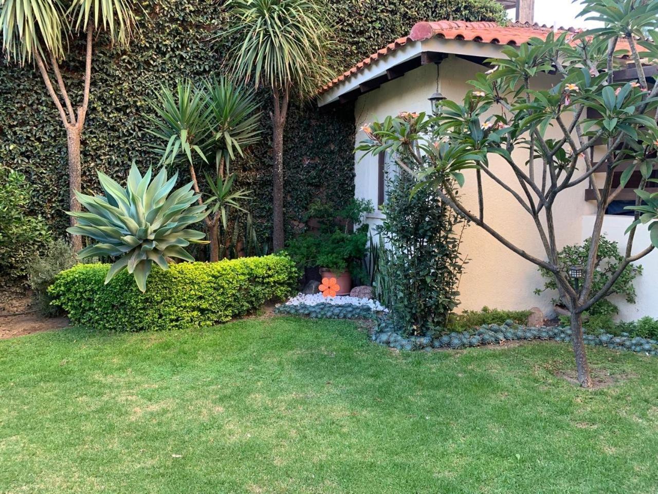 Apartamento Con Jardin Cochabamba Ngoại thất bức ảnh